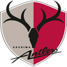 Kashima-Antlers